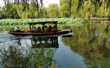 游览观后感600字7篇