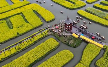 游览的作文通用7篇