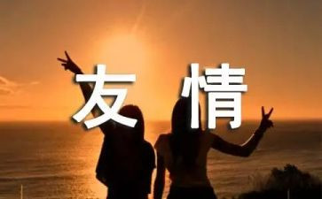 作文友情800字5篇