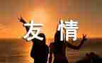 作文友情800字5篇