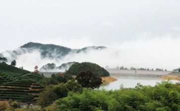 《游山西村》的教案7篇