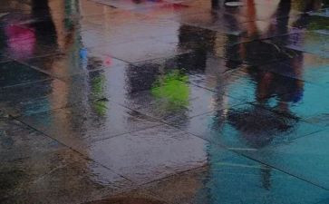 春天的雨教案5篇