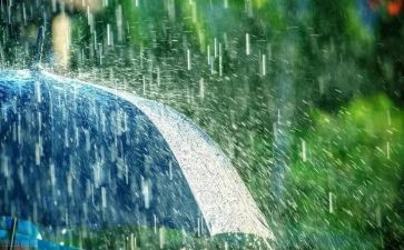 雨阅读心得体会参考7篇