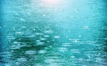 散文雨读后感6篇