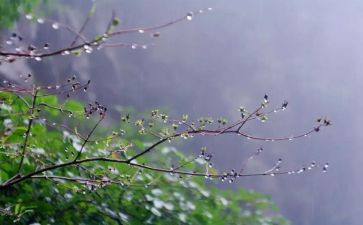 都昌的雨作文优质8篇