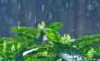 都昌的雨作文参考5篇
