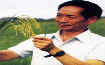 2024年袁隆平的作文最新5篇