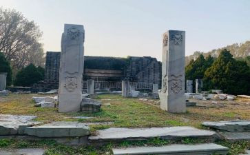 圆明园的毁灭说读后感400字7篇