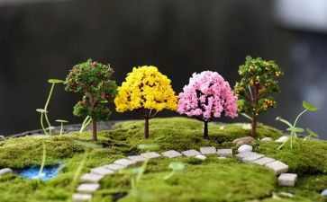 2024校园艺术节活动方案通用8篇