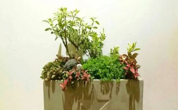 校园艺术节领导致辞稿6篇