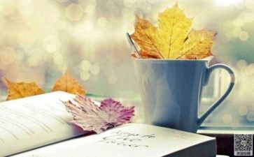 我在阅读《》时作文优秀5篇