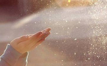 体育阅读心得体会5篇