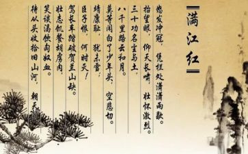 岳飞的心得体会8篇