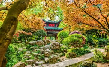 去岳麓山的心得体会7篇