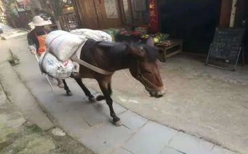 小班运东西教案7篇