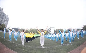 观奥运会作文5篇