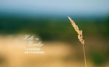 再见,青春作文8篇