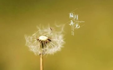 再见202o作文精选6篇