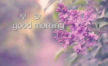 早会的心得体会8篇