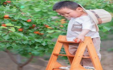 摘果子幼儿园教案7篇