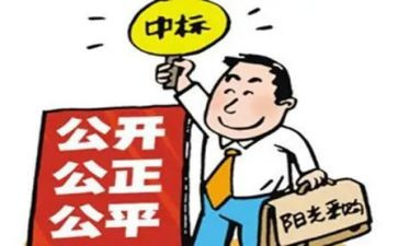2024招标个人年终总结8篇