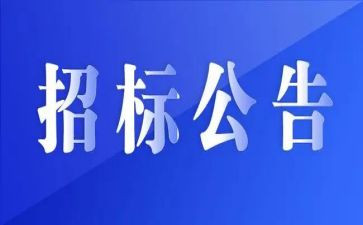 非招标采购工作总结5篇
