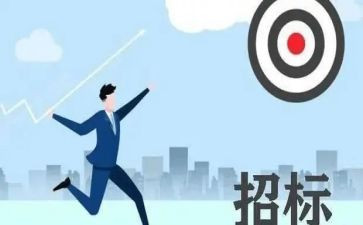 招标代理代理工作总结范文5篇