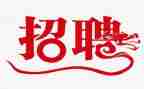 招聘员的工作计划7篇