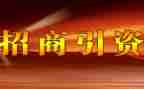招商工作总结报告5篇