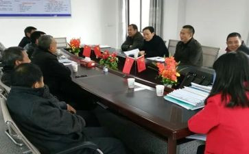 镇办政治建设工作总结6篇