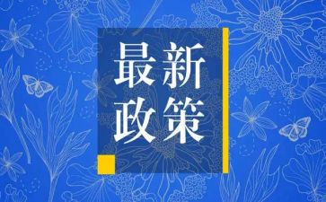 双减政策心得体会最新7篇