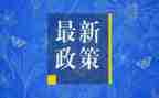 双减政策心得体会最新7篇
