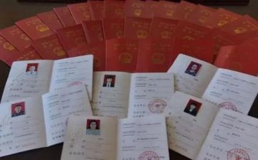 申报正高级教师述职报告模板5篇