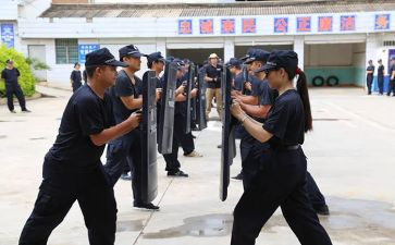 大整训心得体会8篇