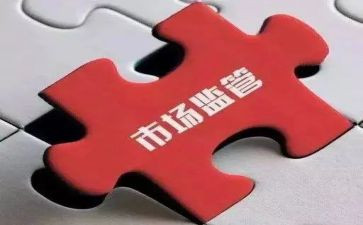 抓整治心得体会模板8篇