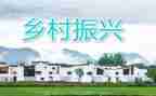 乡村振兴村年度工作计划5篇