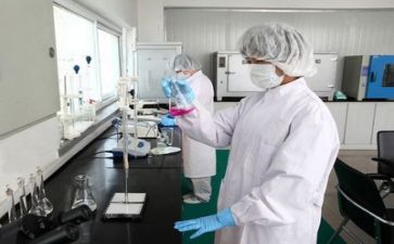 2024年质量部年度质量工作计划5篇