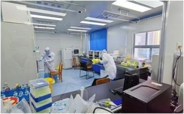 质量述职报告范文6篇