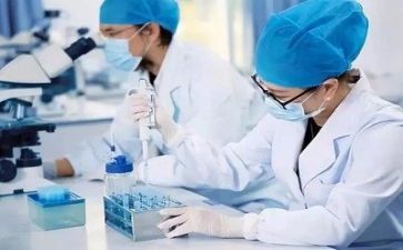 安全质量半年度工作总结6篇