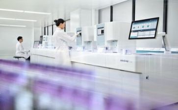 质量工作工作述职报告7篇