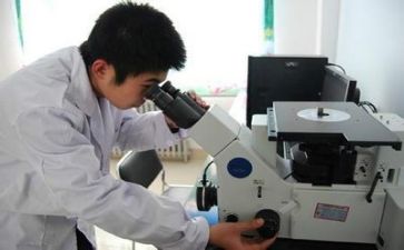 质量年度工作计划范文6篇