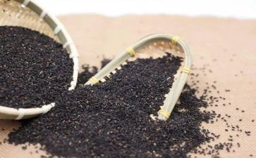 小芝麻的读后感7篇