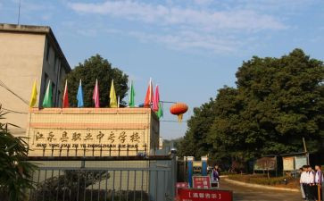 职中学生培训心得8篇
