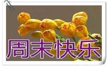 周末的作文500字7篇