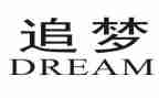 与追梦有关的作文6篇