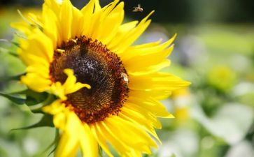 追求精神的作文推荐5篇