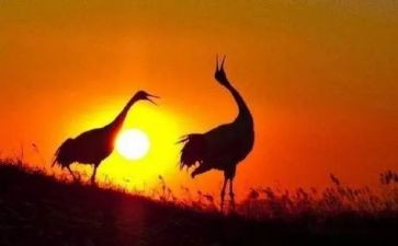 《主角》作文6篇