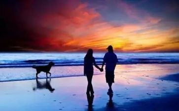 主角的作文800字作文5篇