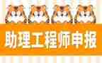 助理工程师专业工作总结7篇