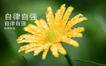 当自强演讲稿600字6篇